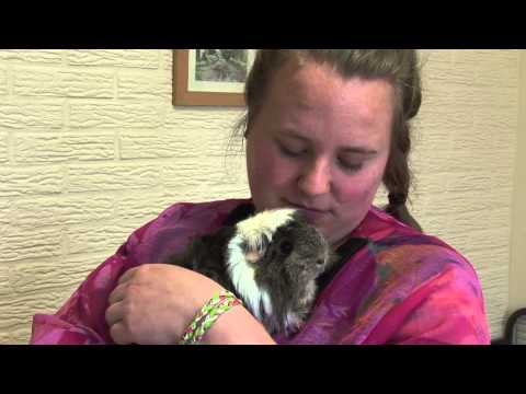 Bedrijfsfilm Woonzorgnet locatie Redichem