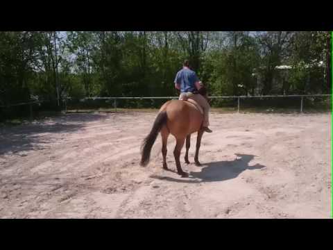 Liberty Reiten Farasch&Eli