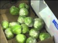 Audion Elektro (Swissvac) Veggiepack - Vegetable packaging machine