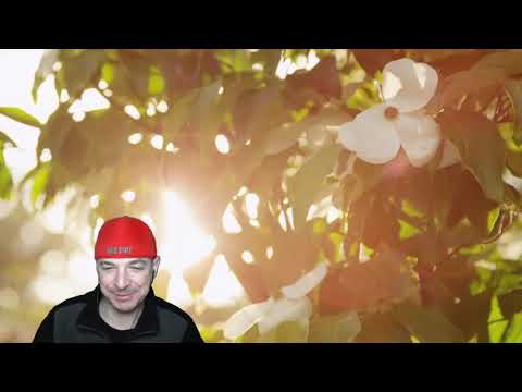 HodgePodge#119 (Devin Townsend; Aquilus; Alkaloid; Soar; Solstafir; Mother of Millions)