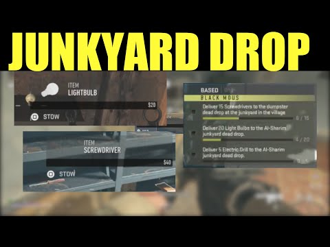 Video preview