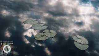 Edlan - Lone Pine ft. Joan de Bruyn