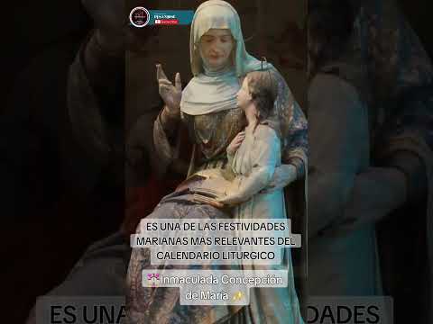 Inmaculada concepción de María 🙌✨️Fiesta de Precepto💒🥳 #iglesia #maria #dogmas #Jesús #Dios #fe