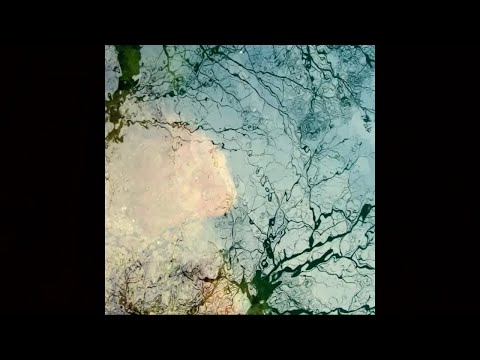 Viktor Udvari - Anyukám Nevetése