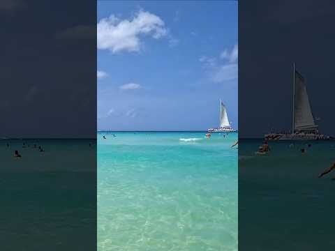 Dominicus Beach, Dominican Republic! 🥰 #shorts #beach #travel
