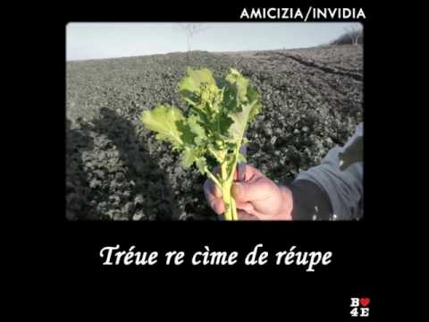 Proverbio di Bitonto - B4E – AM0450