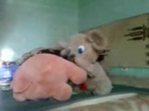 Kucupongo vs. Pingeponga