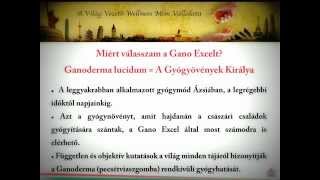 Gano Excel üzleti bemutató (zenés verzió)