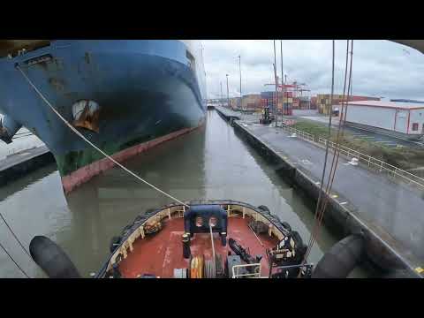 Royal Portbury Dock sailing and docking