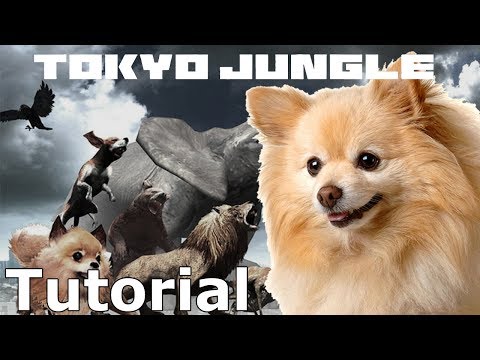 Tokyo Jungle w/octaneblue - Act Ex - Tutorial