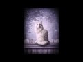 Мельница - Белая кошка 