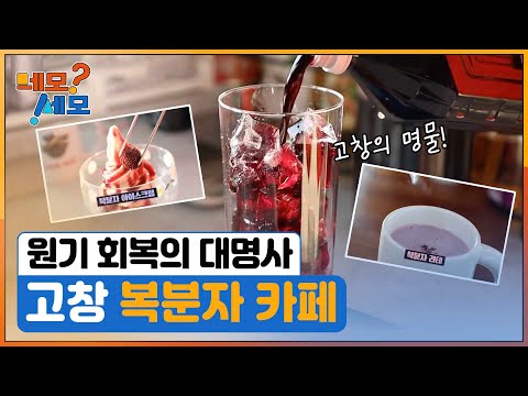 [네모세모] 원기 회복의 대명사, 복분자