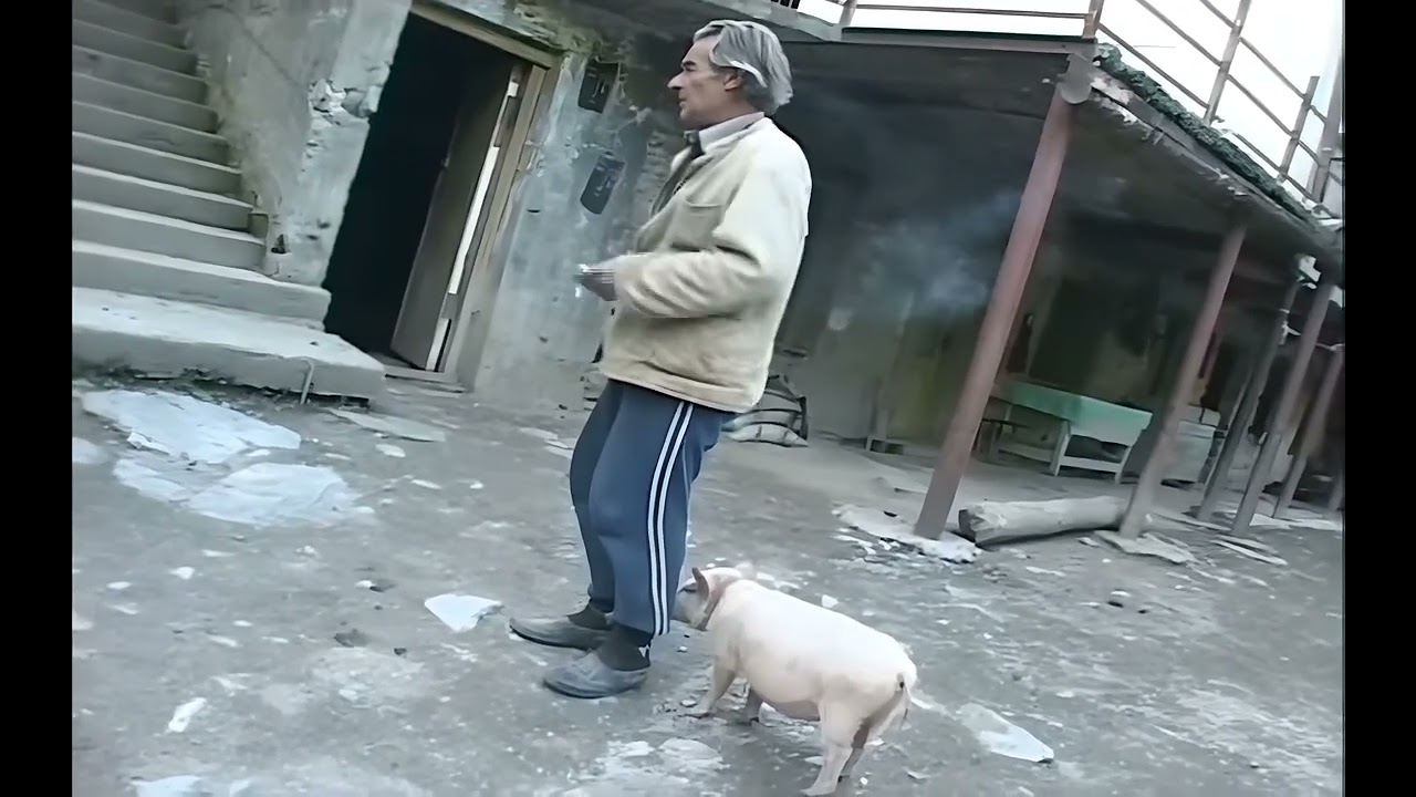 Givi!