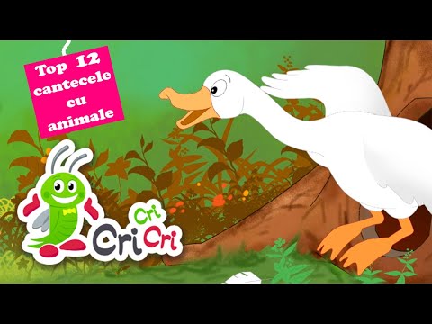 Top 12 cele mai indragite cantecele cu animale: Elefantul Cici | CriCriCri #cantecepentrucopii