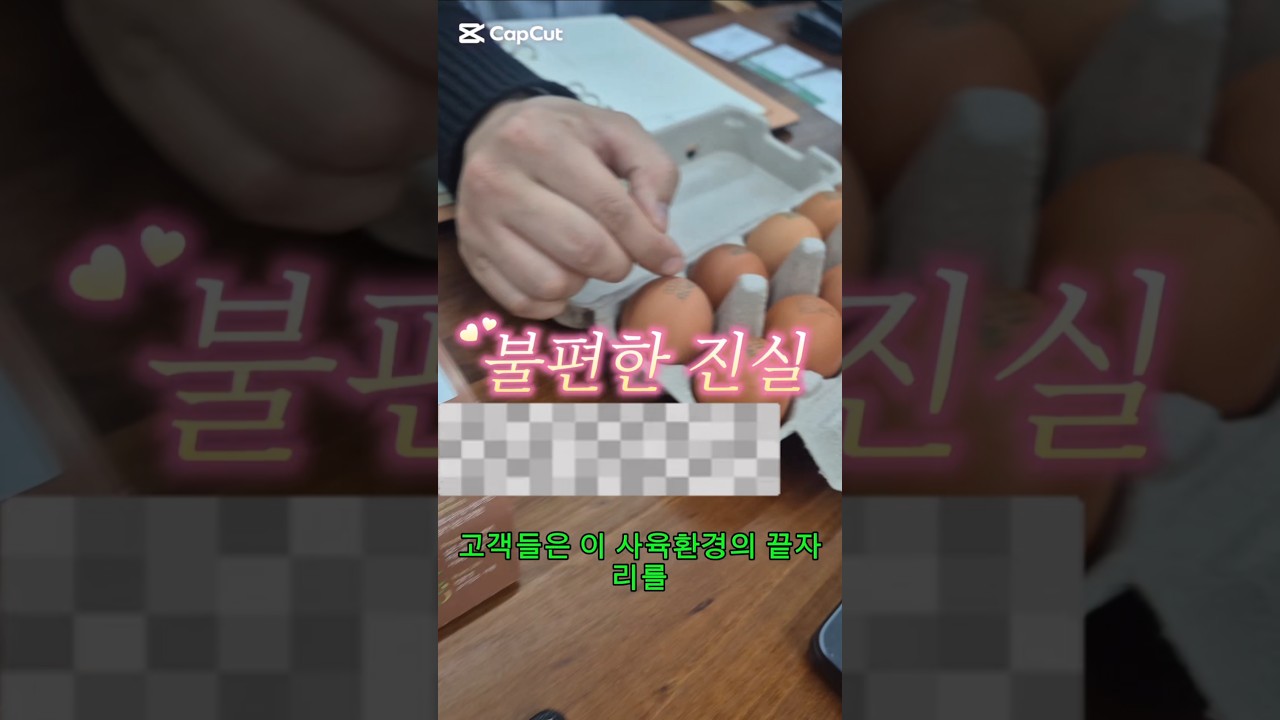 난각번호 1번 계란의 불편한 진실 민이사님 금일 정말 많이 배웠습니다 감사드립니다 #유정란 #동물복지 #인간복지