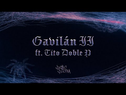 GAVILÁN II (Lyric Video) - Peso Pluma, Tito Double P