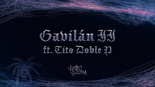 Cover art for GAVILÁN II