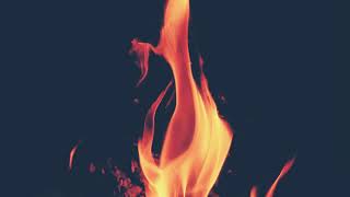 draco “Hot shit”