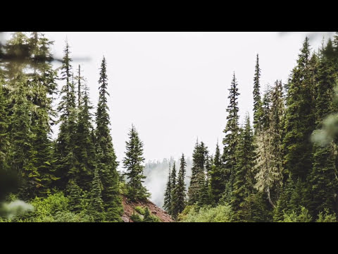 Vođena meditacija od 5 minuta