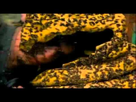 Superhero Movie - Shit, Shit, Shit, Shit