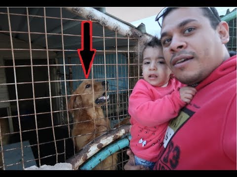 روحنا بيت الكلاب و مريم خافت Free Video Search Site