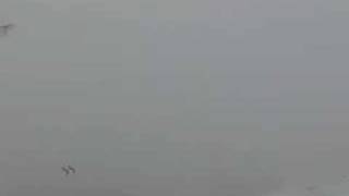 malik-bouchenafa - www.totalvod.com