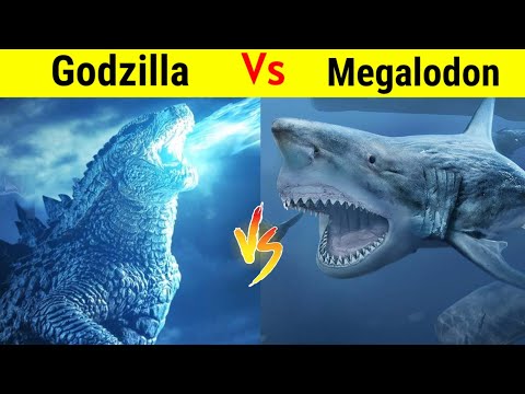 Godzilla Vs Megalodon Team | क्या होगा जब Meg का साथ T rex और Mosasaurus भी दे ?