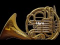 Choosing Your First Instrument Choosing Your First Instrument