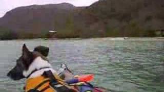 preview picture of video 'Kayak en La Cienaga de Ocumare de la Costa (Parte 2)'