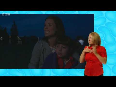 CBeebies | Sign Zone: Topsy and Tim - S03 Episode 1 (Camping Weekend)