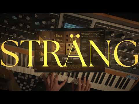Free Download STRÄNG 2 v2.6.0 U2B macOS-MORiA