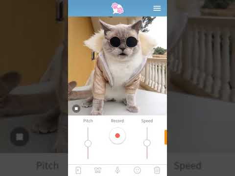 Havana ( camila cabello) by the cool cat