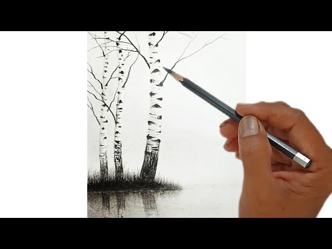 How to draw beautiful birch tree by pencil with easy steps.