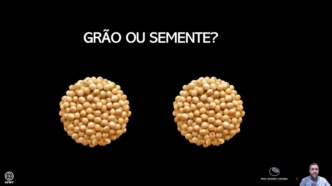 AULA 10   SISTEMA DE PRODUÇÃO DE SEMENTES - PROF. ROGÉRIO COIMBRA