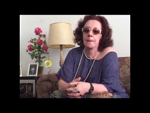 +Curtas - Humor em Tempos de Cólera: Tapa na Pantera