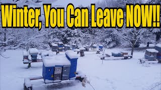 Winter, You Can Leave Now!