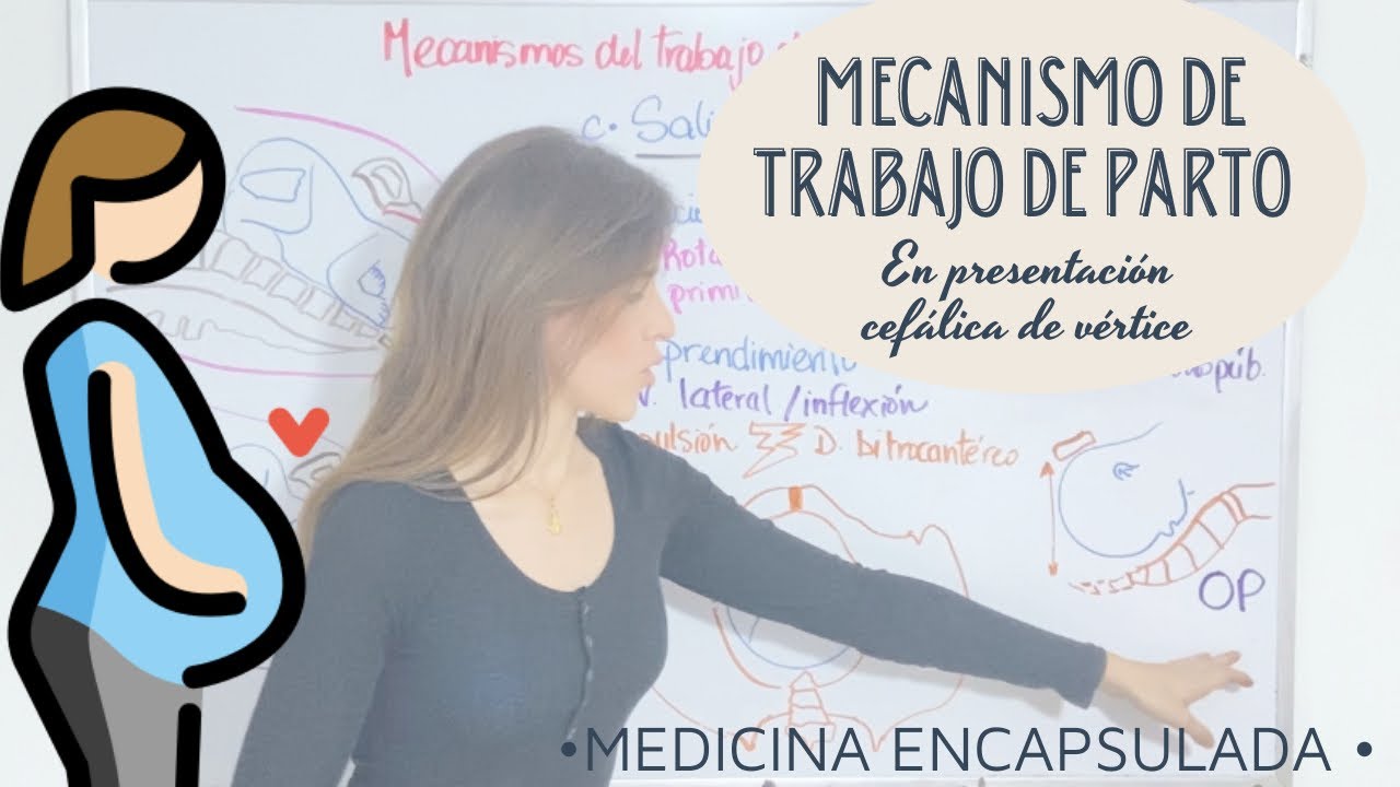 Mecanismos del trabajo de parto - en presentación cefálica de vértice🤰🏼