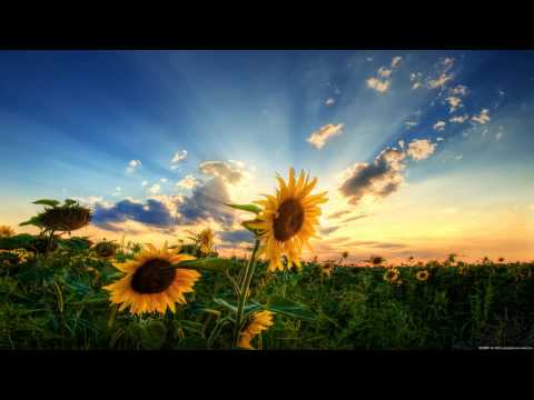 Corderoy - Rock Guitar (Arctic Moon Remix) HD