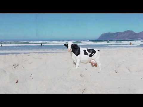 COPY011 - DUNG - Morning Crackers (Video Cut)