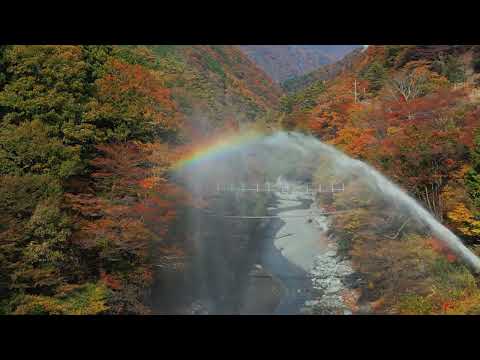 ギネス認定世界最古の宿　西山温泉慶雲館【秋・編】