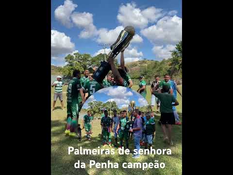 O campeonato municipal de Fernandes Tourinho MG 2026 tem dono e  é a equipe palmeiras de corridinha.