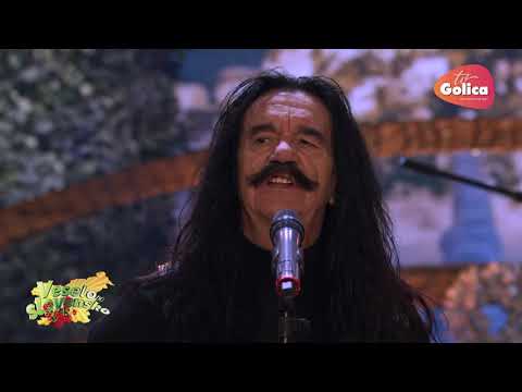 Čudežna polja  - Zlati mix (Veselo po slovensko)