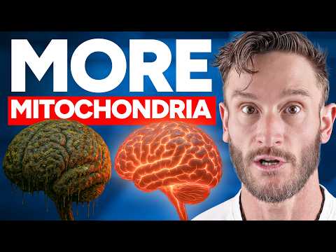 The Most Powerful Brain Supplement is Being Discovered (and you mix it with creatine)