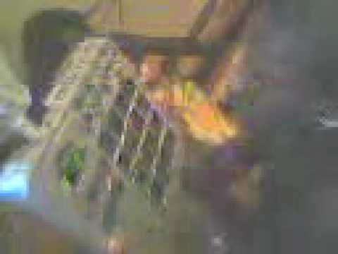 mc kadinho- fazendo montagem shows (021)7875 6037