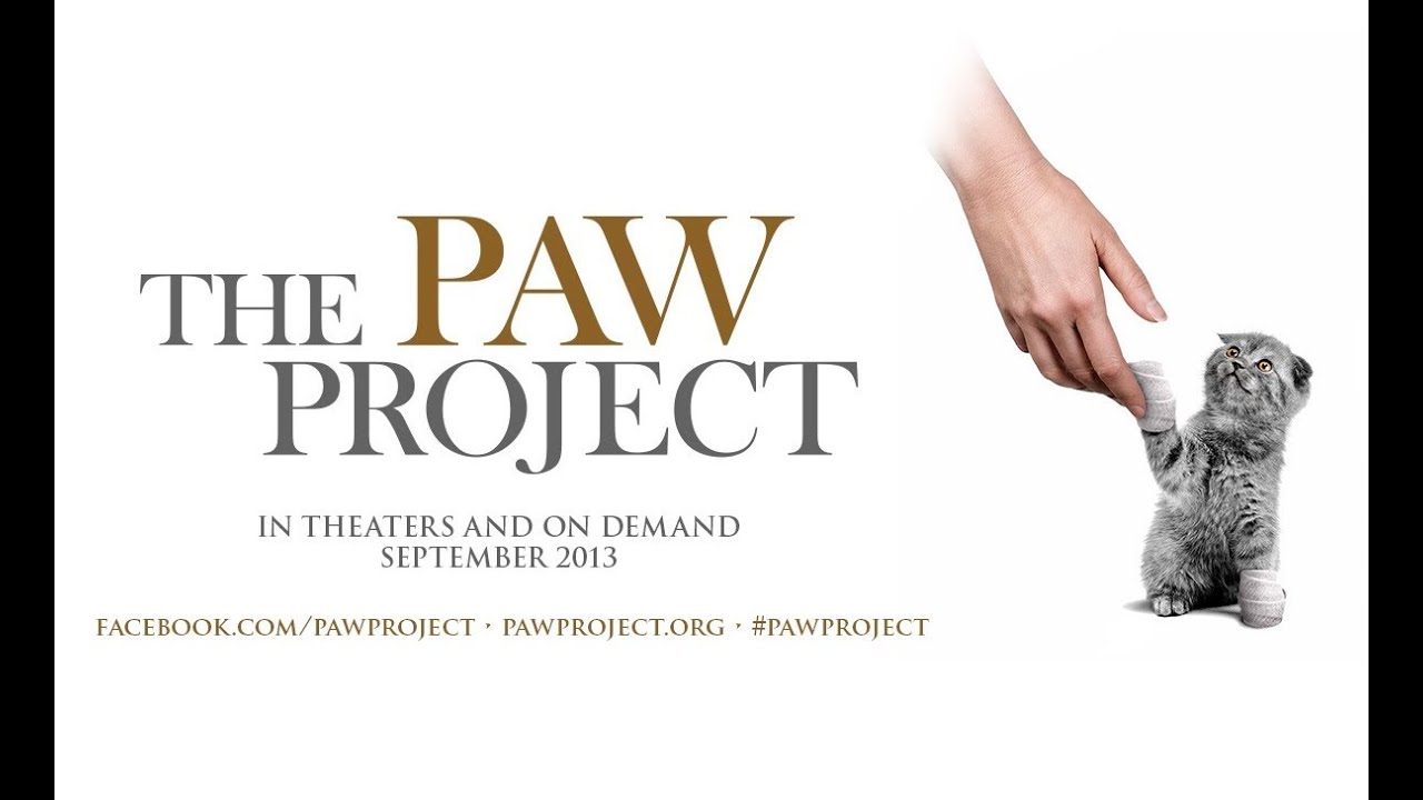 The Paw Project Movie - Official Theatrical Trailer