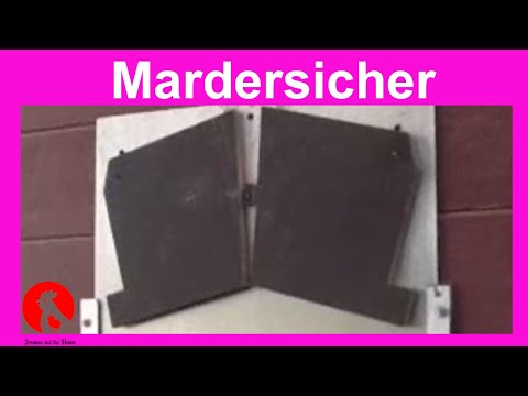 002 Hühnerklappe die sich selbst verriegelt - chicken coop security - Jensman and the Huhns🐔