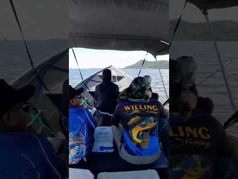 Pescaria na Baía de Paranaguá pr. Pescadas amarelas , corvinas , sargos e betaras. #fishing #pesca