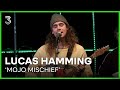 Lucas Hamming live met 'Mojo Mischief' | 3FM Live Box | NPO 3FM