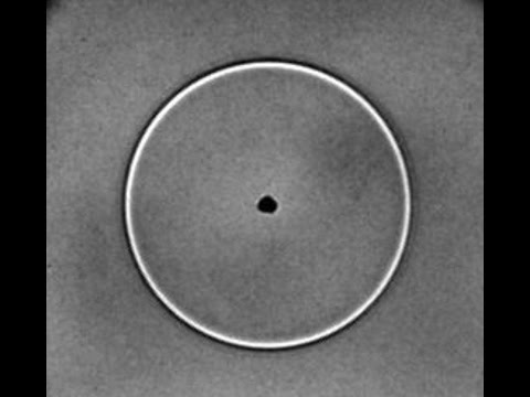 Shockwave created by bubble collapse illuminated with CAVILUX laser light