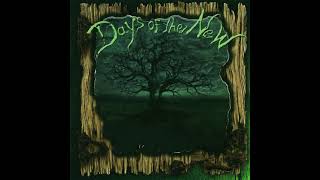Days of the New - Provider - Days of the New II (1999)